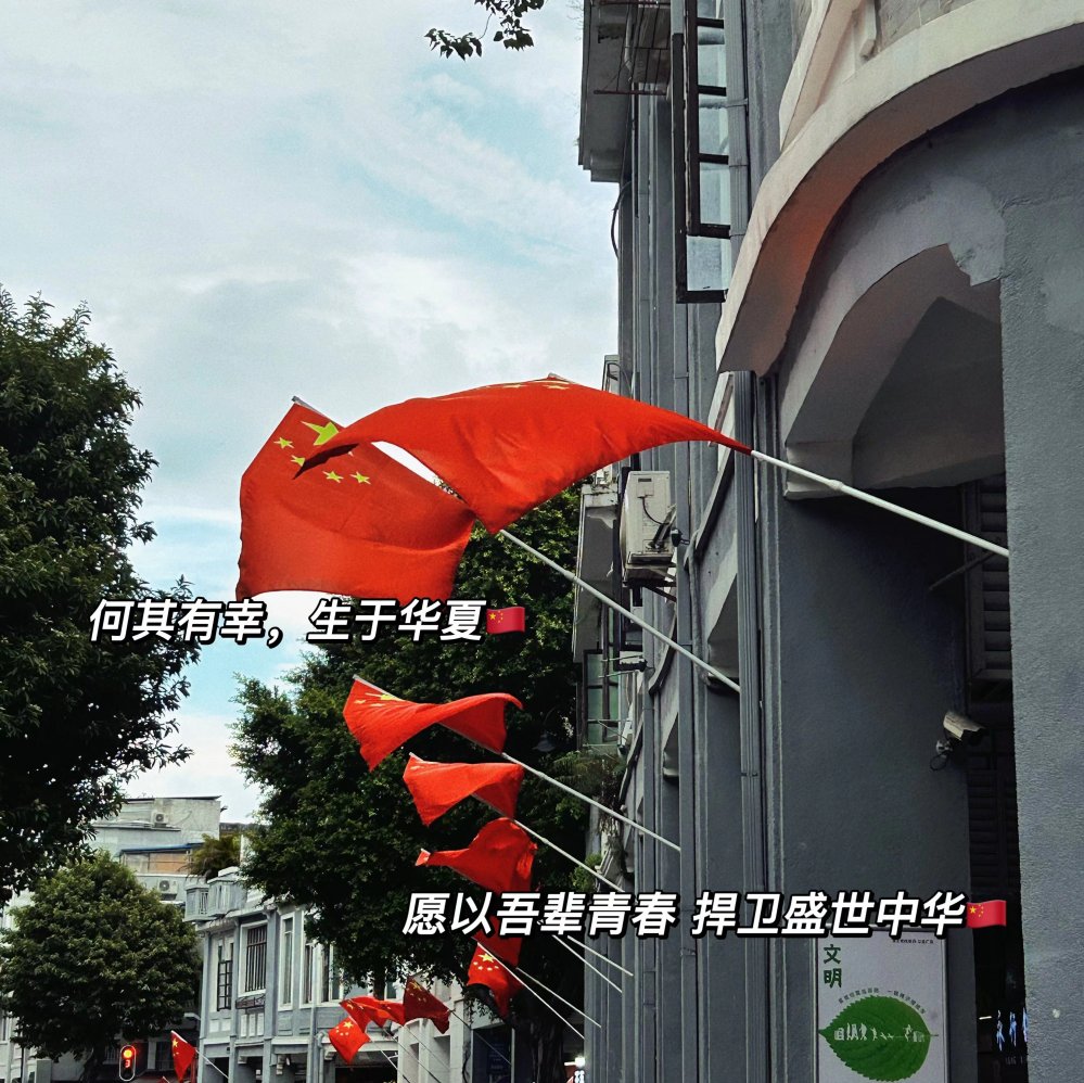 cotton & ceramic coil